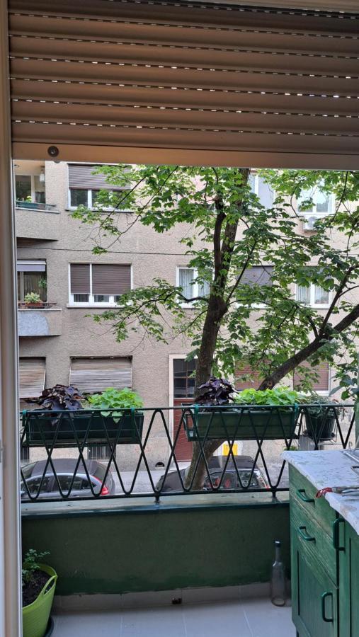 Jaki Apartment